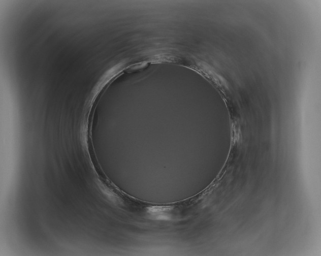 X0000110990051200906261458