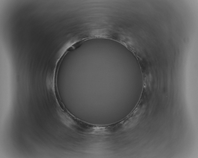 X0000110990052200906261458