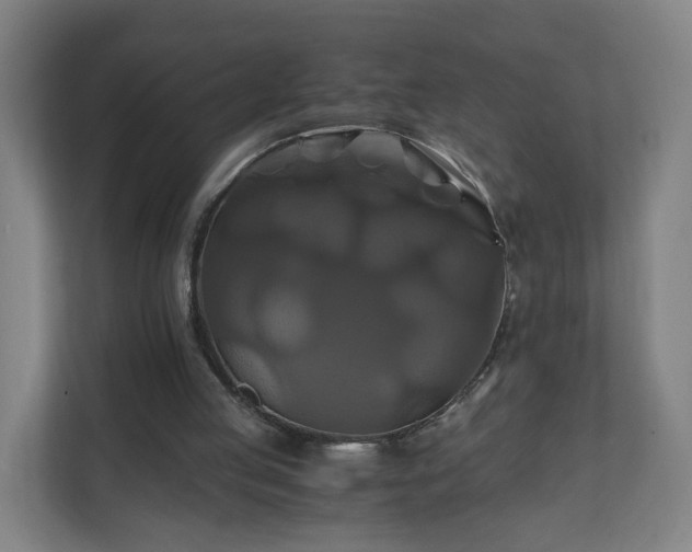 X0000110990053200906261458