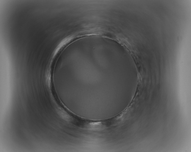X0000110990054200906261458