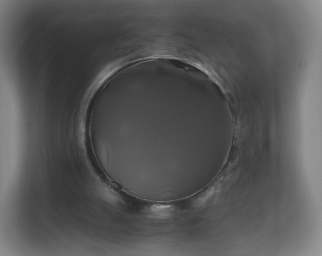 X0000110990055200906261458