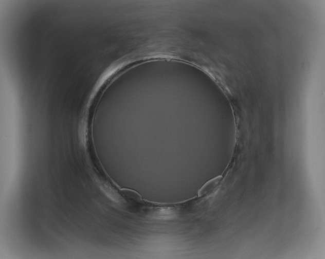 X0000110990056200906261458