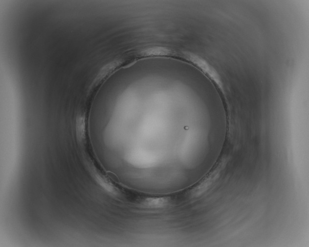 X0000110990057200906261458