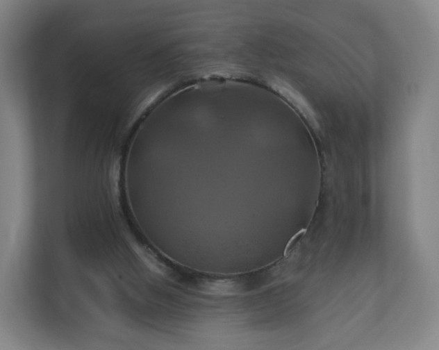 X0000110990058200906261458