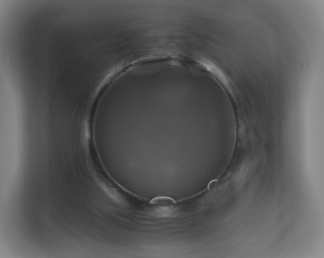 X0000110990059200906261458