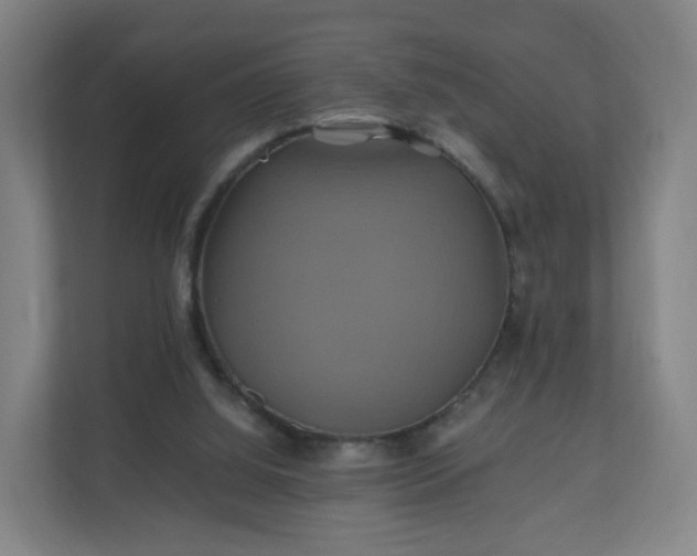 X0000110990060200906261458