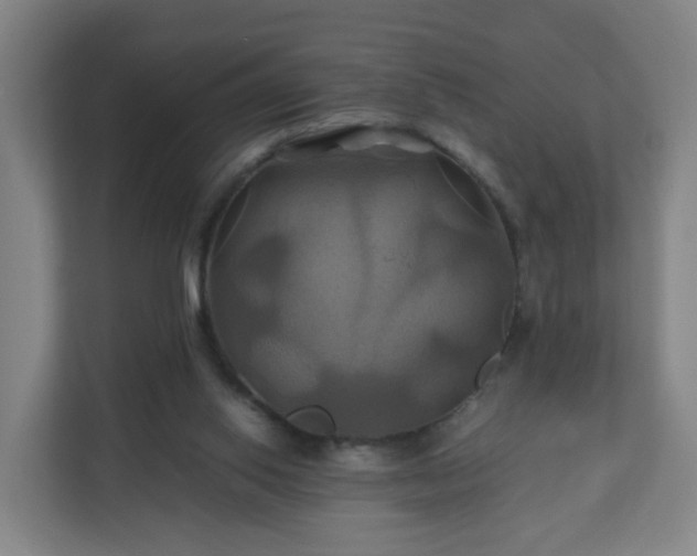 X0000110990062200906261458