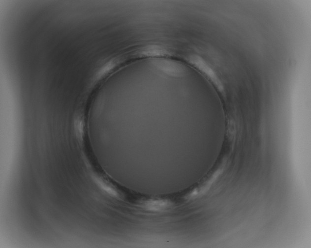X0000110990063200906261458