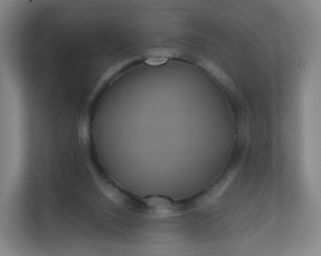 X0000110990064200906261458