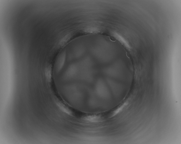 X0000110990065200906261458