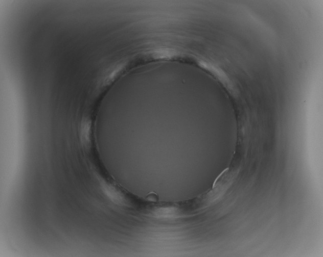 X0000110990066200906261458