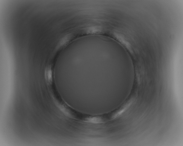 X0000110990067200906261458