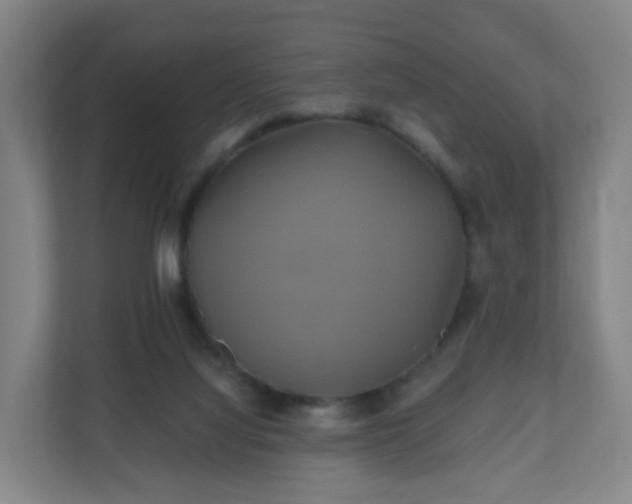 X0000110990068200906261458