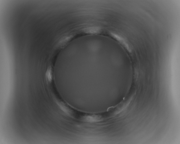 X0000110990069200906261458