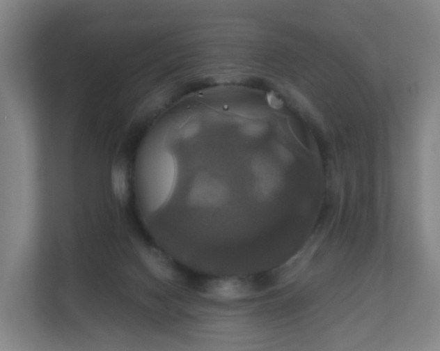 X0000110990074200906261458