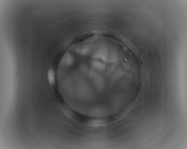 X0000110990075200906261458