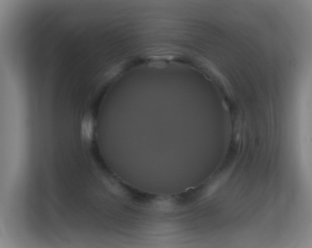 X0000110990076200906261458