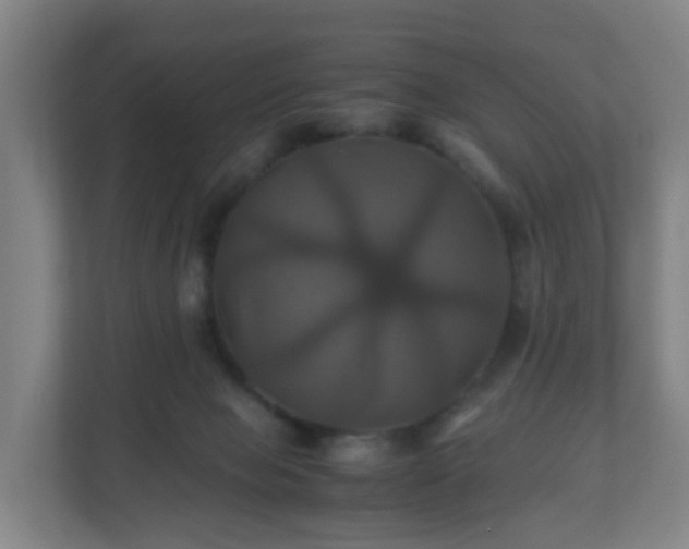 X0000110990077200906261458