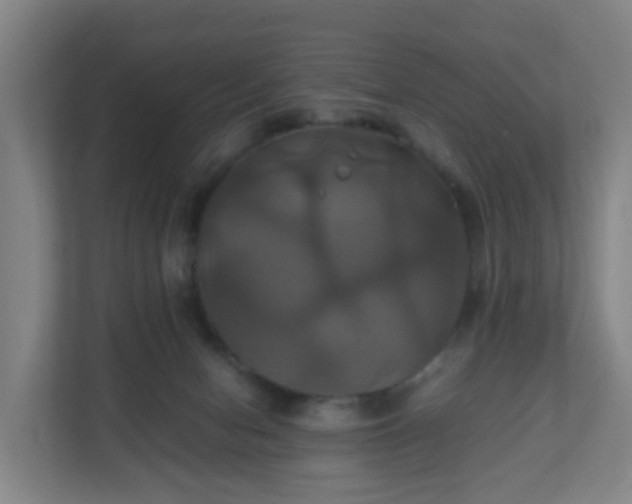 X0000110990078200906261458