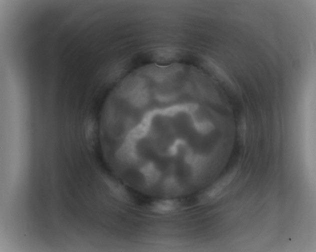 X0000110990079200906261458