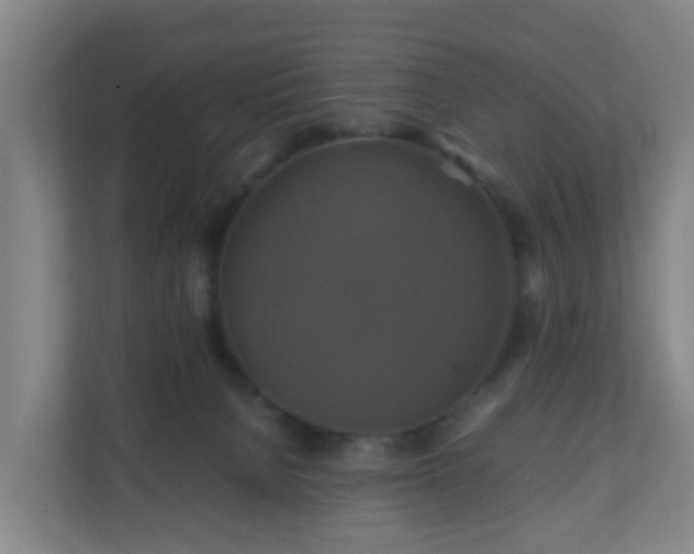X0000110990080200906261458