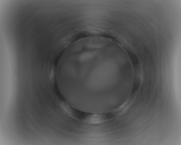 X0000110990082200906261458