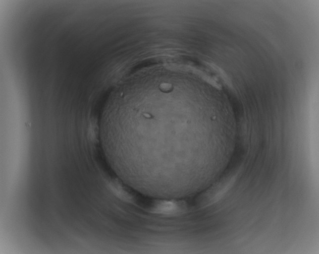 X0000110990083200906261458