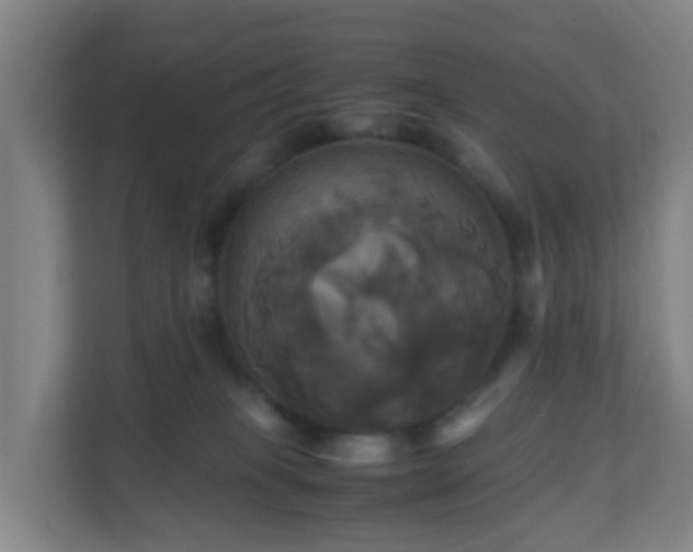 X0000110990085200906261458