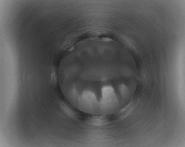 X0000110990086200906261458