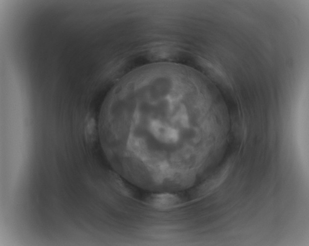 X0000110990087200906261458