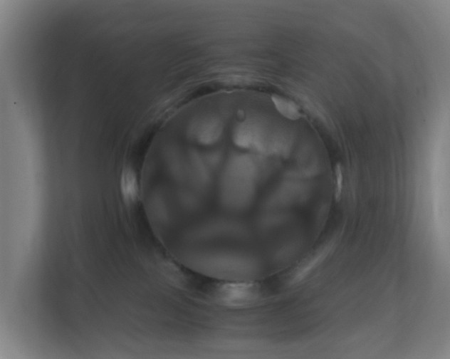 X0000110990089200906261458