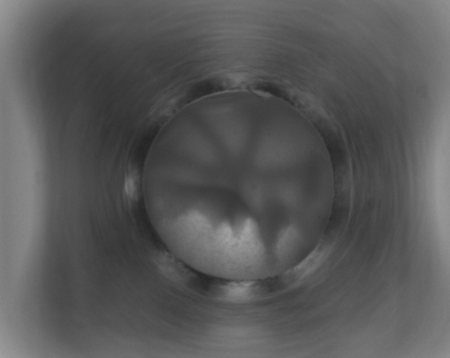 X0000110990090200906261458