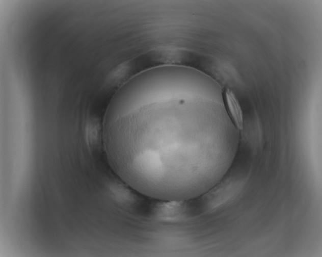 X0000110990092200906261458