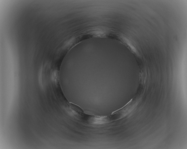 X0000110990093200906261458