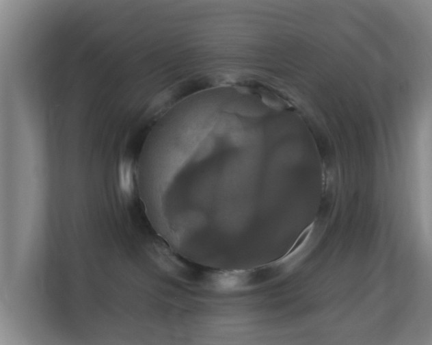 X0000110990094200906261458