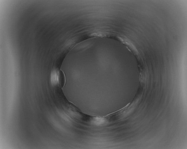 X0000110990095200906261458