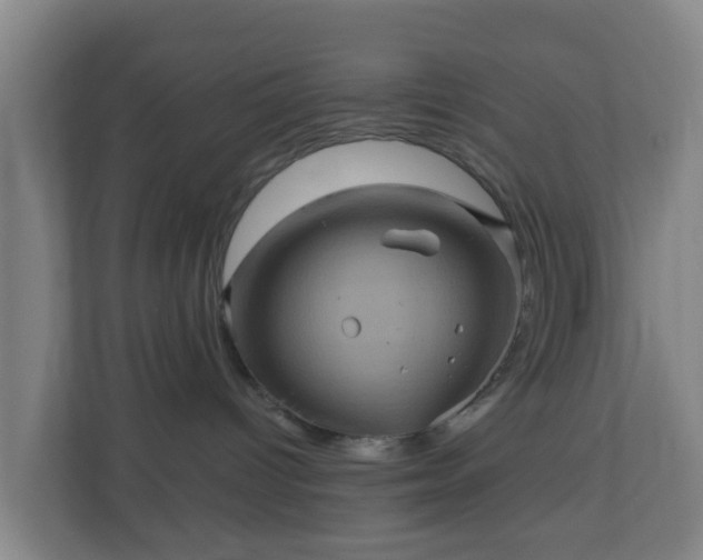X0000110990096200906261458