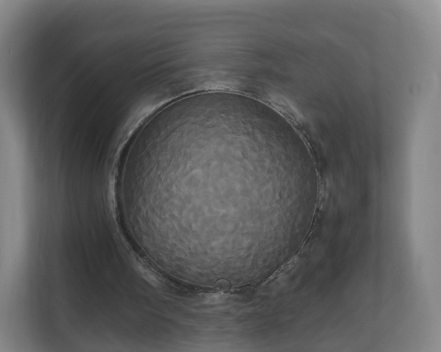 X0000110990098200906261458