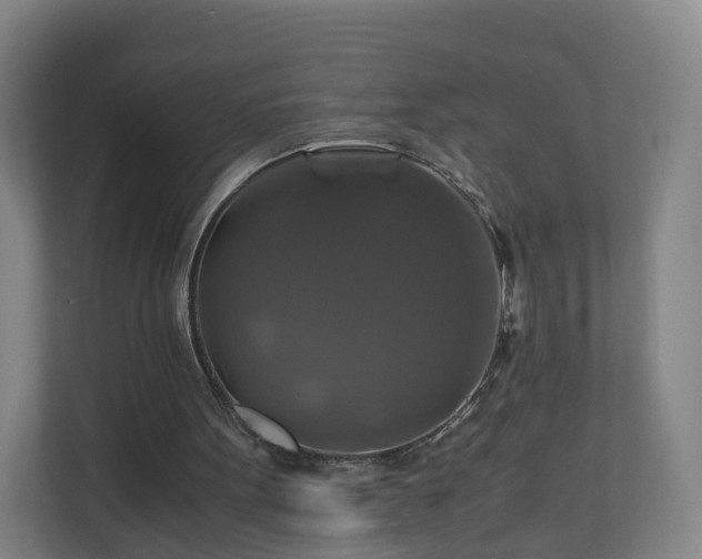 X0000110990099200906261458