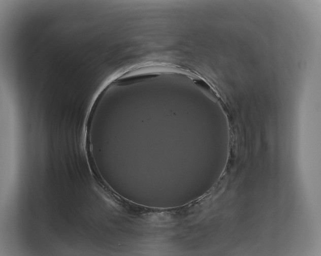 X0000110990100200906261457