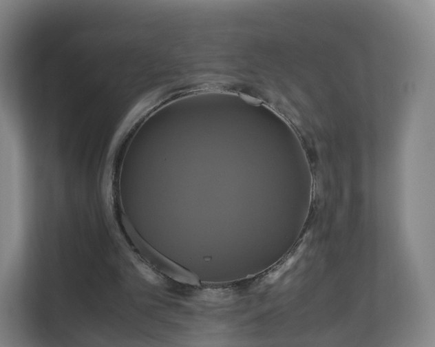 X0000110990101200906261457