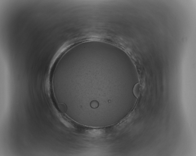 X0000110990102200906261457
