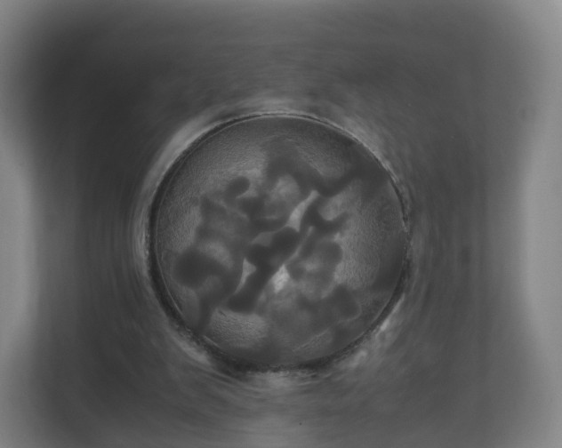 X0000110990103200906261457
