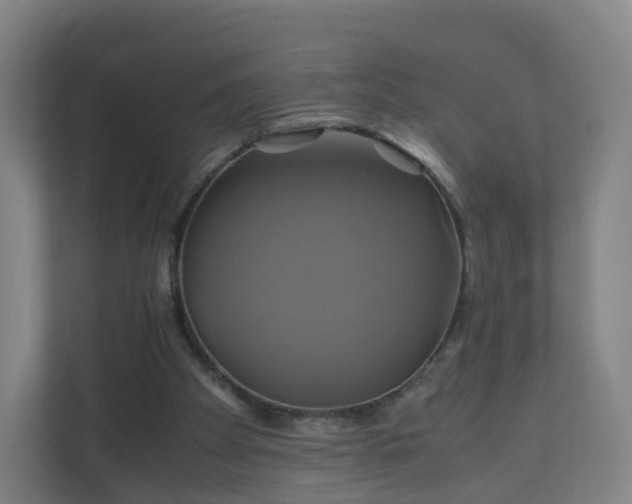 X0000110990105200906261457