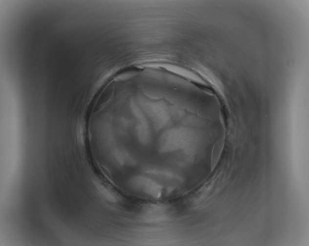 X0000110990107200906261457