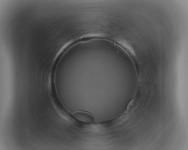 X0000110990108200906261457