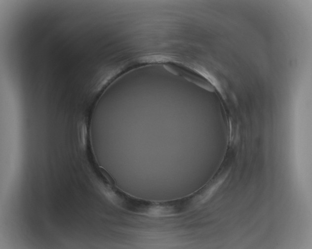 X0000110990109200906261457
