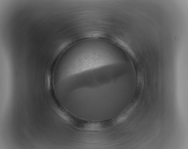 X0000110990110200906261457