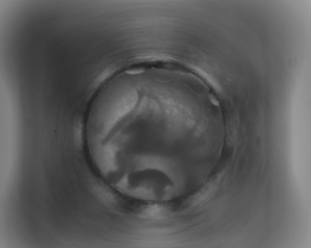 X0000110990111200906261457