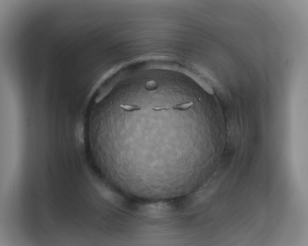 X0000110990112200906261457